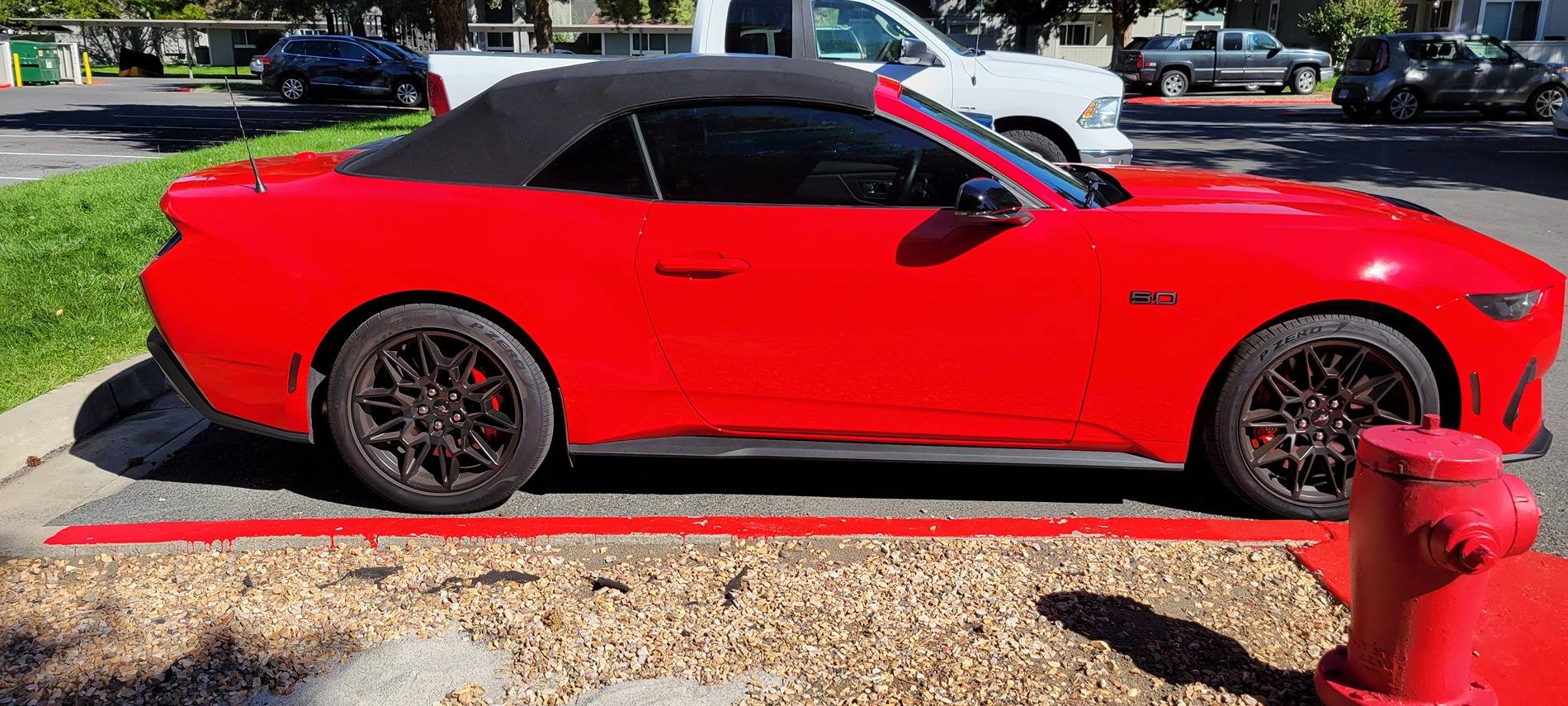 S650 Mustang Tint - I messed up, and my car was keyed 1000010171