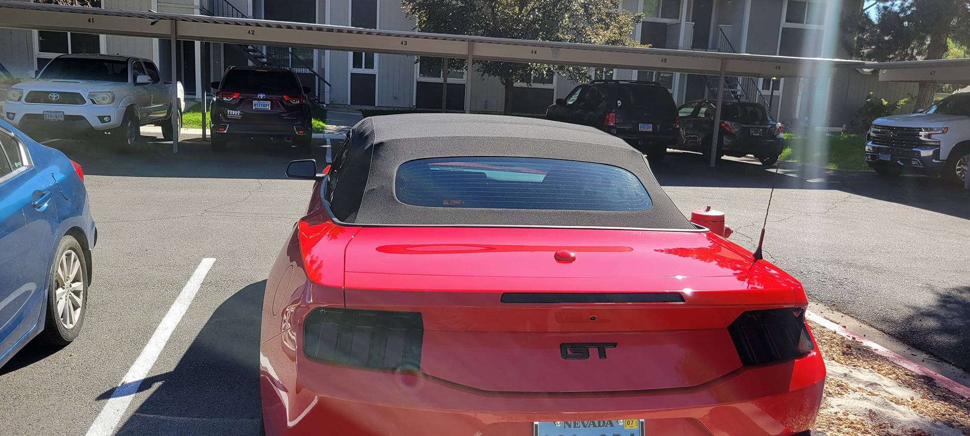 S650 Mustang Tint - I messed up, and my car was keyed 1000010172