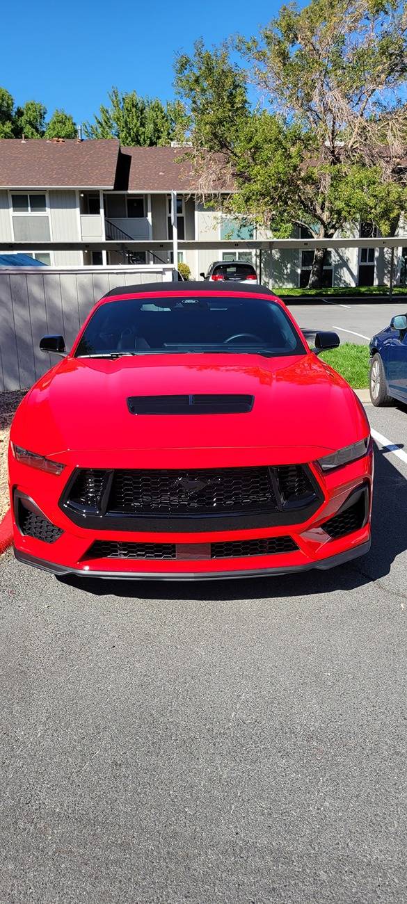 S650 Mustang Tint - I messed up, and my car was keyed 1000010178