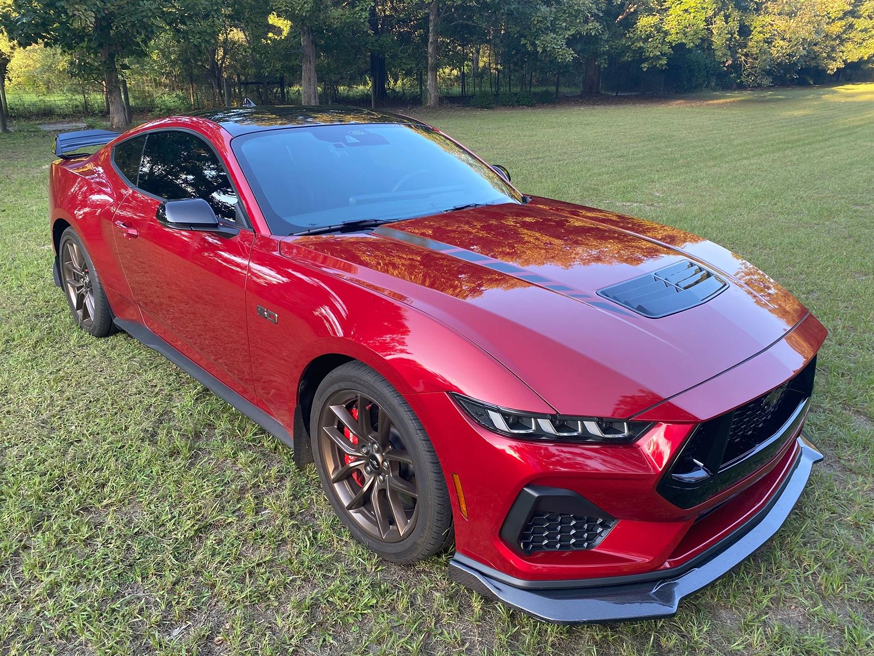 S650 Mustang What did you do to your S650 Mustang today?? 🙋🏻‍♂️ IMG_1187.JPG