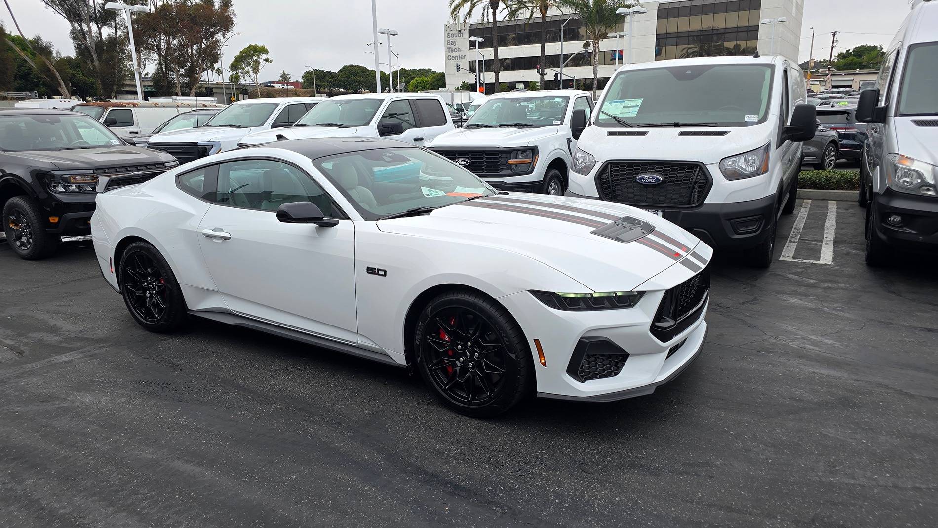 S650 Mustang Finally in production! 1000009750
