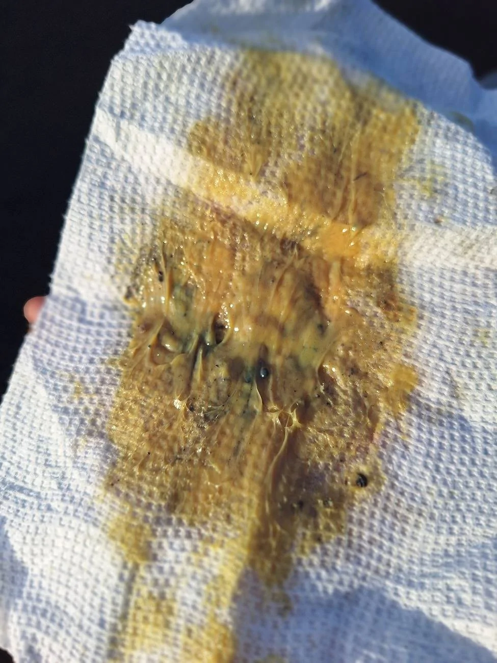 S650 Mustang 2024 CV boot puked all its grease 20240923_175909