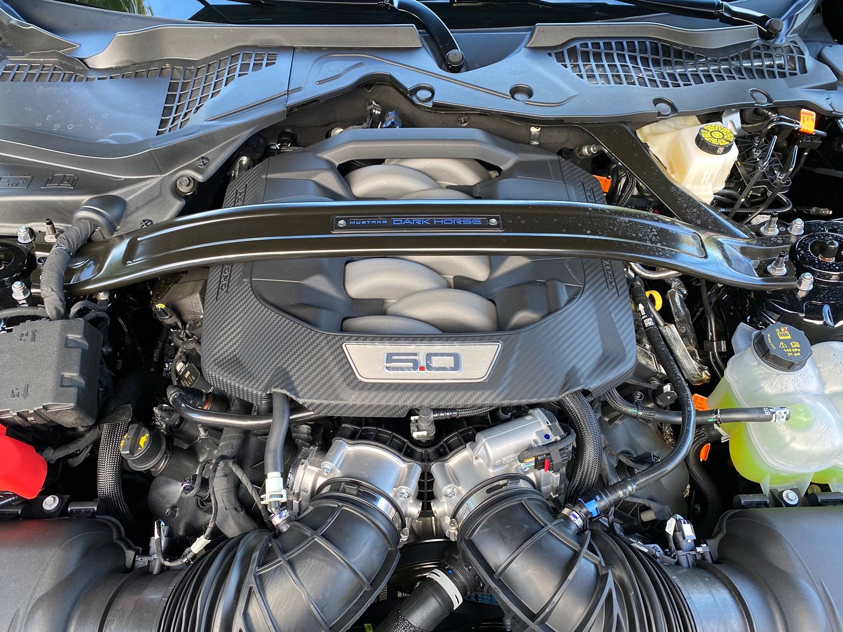 S650 Mustang After 548 Days… IMG_5676