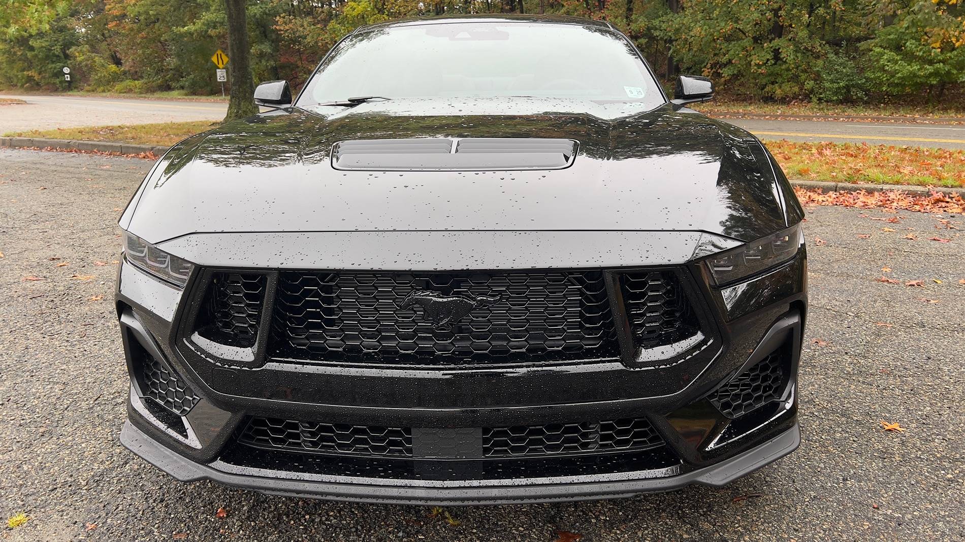 S650 Mustang Official SHADOW BLACK Mustang S650 Thread IMG_6325