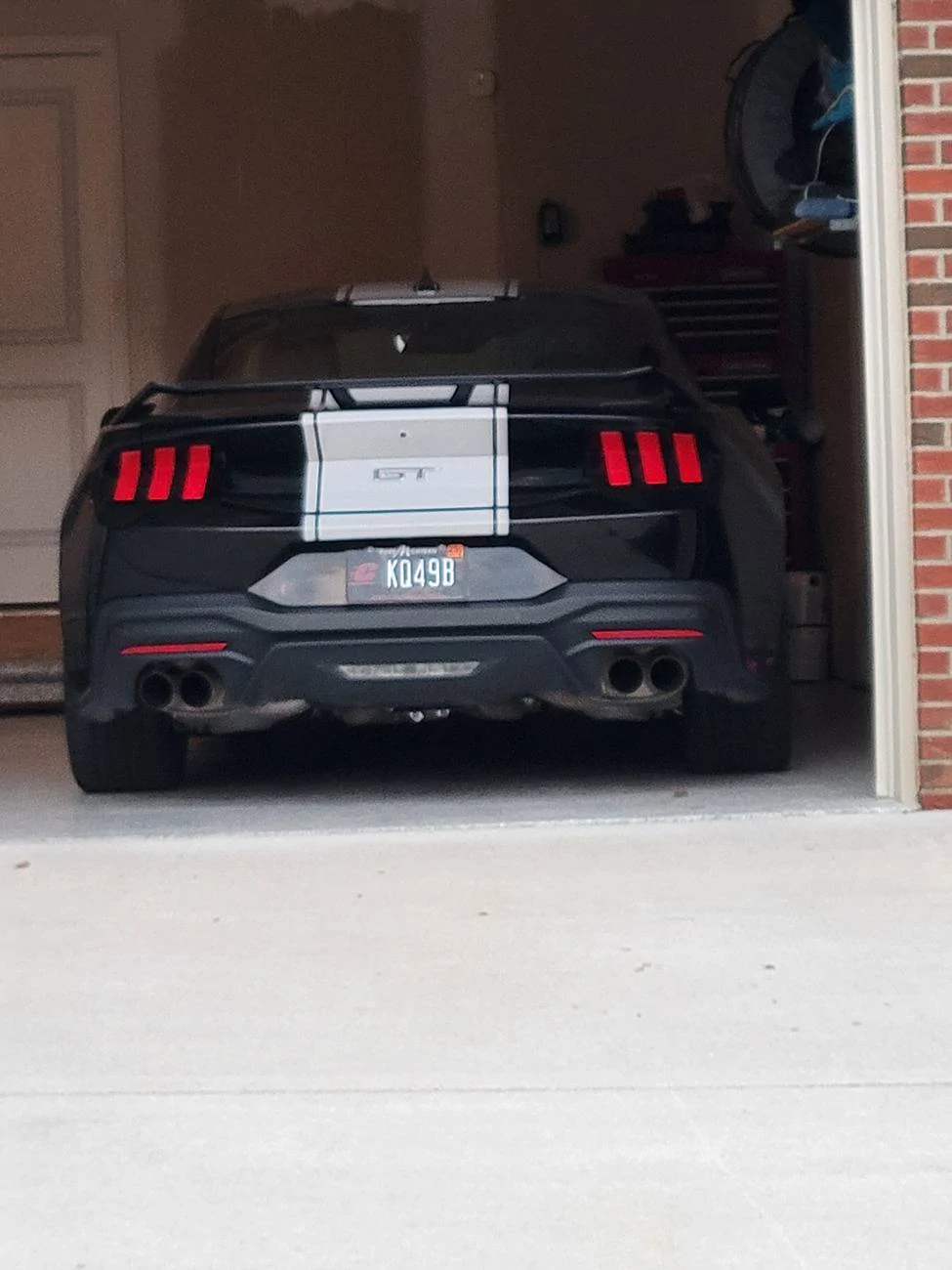 S650 Mustang What did you do to your S650 Mustang today?? 🙋🏻‍♂️ plate updated 3