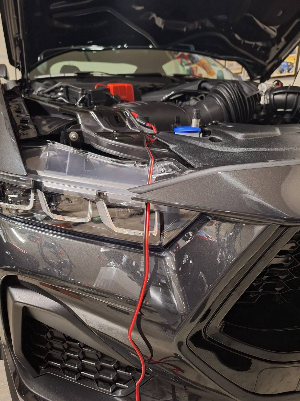 S650 Mustang Installed NOCO Gen 5 battery maintainer 20240930_224641