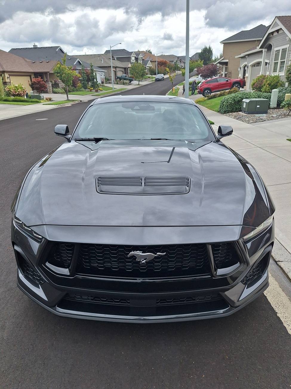 S650 Mustang Anyone add PPF? 20240824_140607