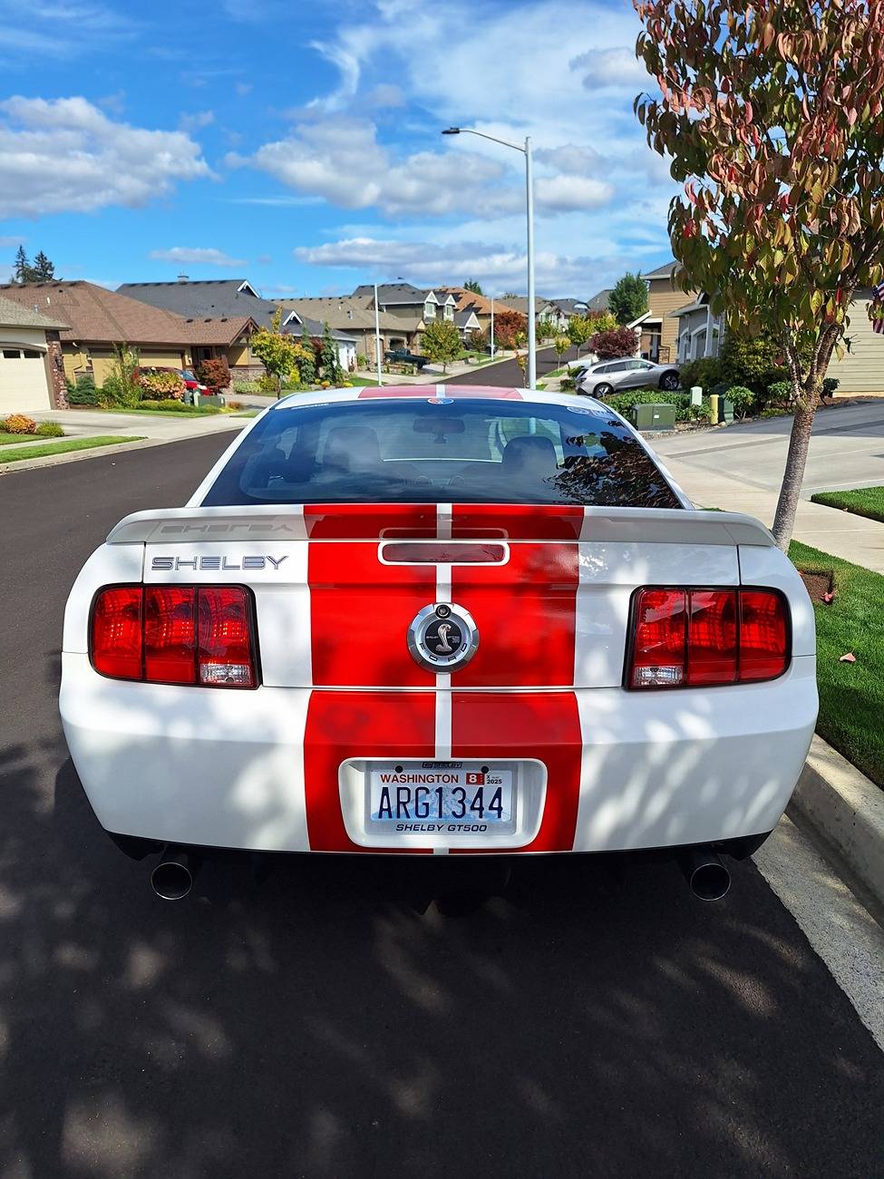 S650 Mustang Anyone add PPF? 20240927_142126
