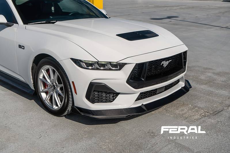 S650 Mustang Feral Industries - NEW CARBON FIBER TRACK FRONT SPOILER + SIDESKIRT EXTENSIONS 54018813048_e23159983b_c