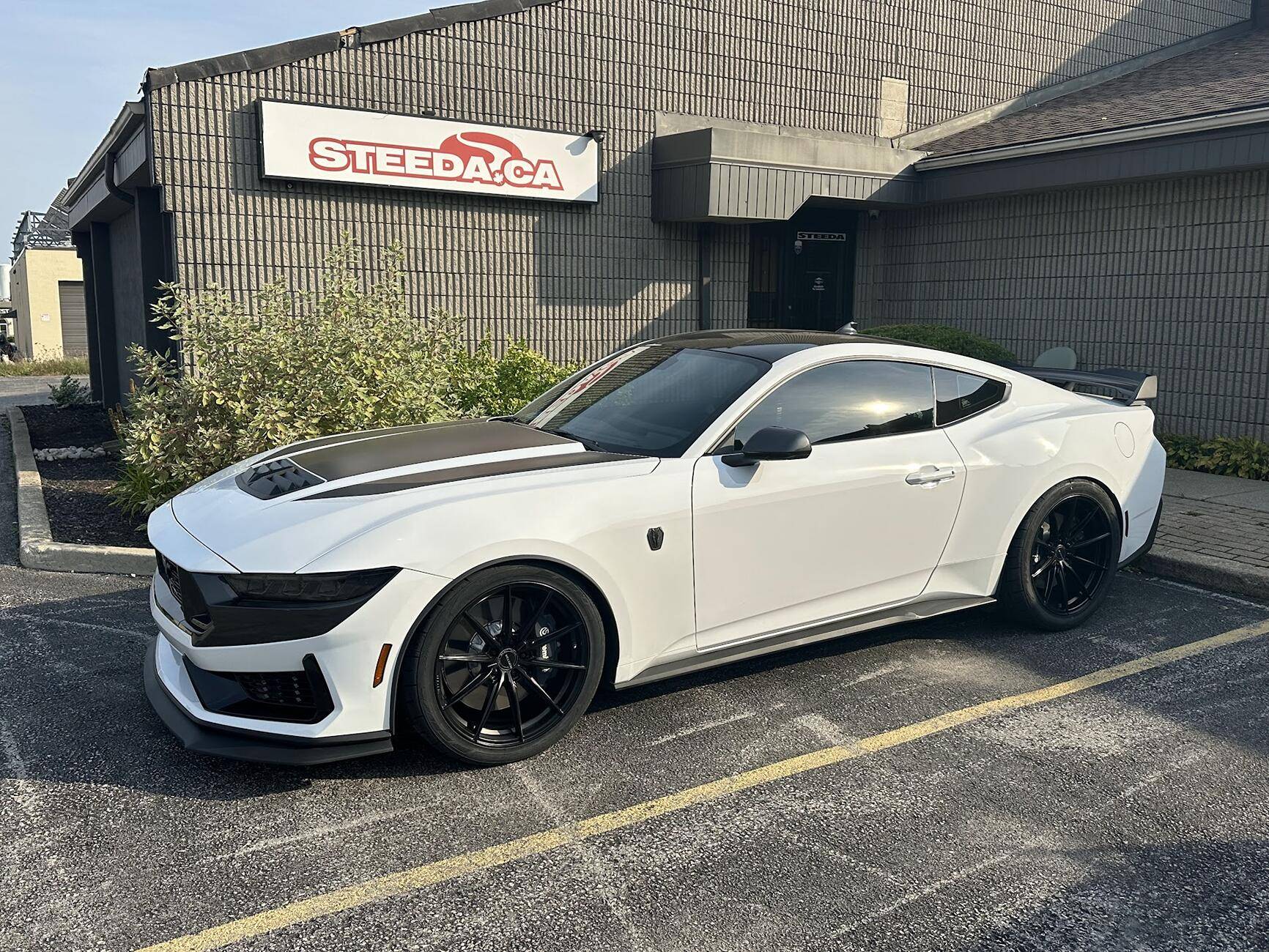 S650 Mustang 2024 Dark Horse Premium "Freyja" (Chassis # 7161) - My Build Journal 1727993914627-52