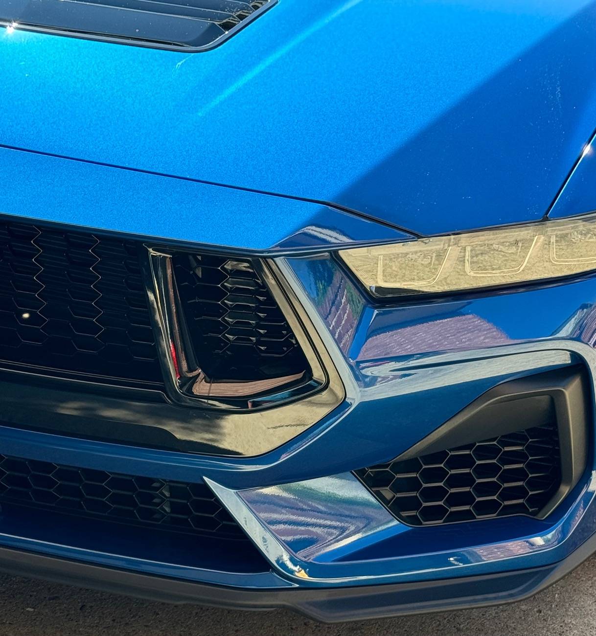 S650 Mustang DIY I detailed my GT vert with ceramic IMG_1329