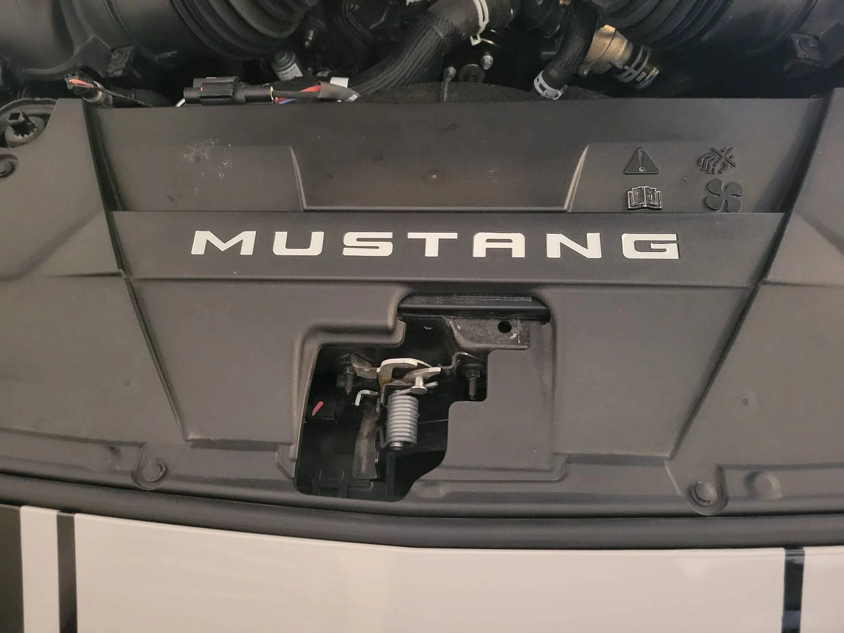 S650 Mustang What did you do to your S650 Mustang today?? 🙋🏻‍♂️ after 1