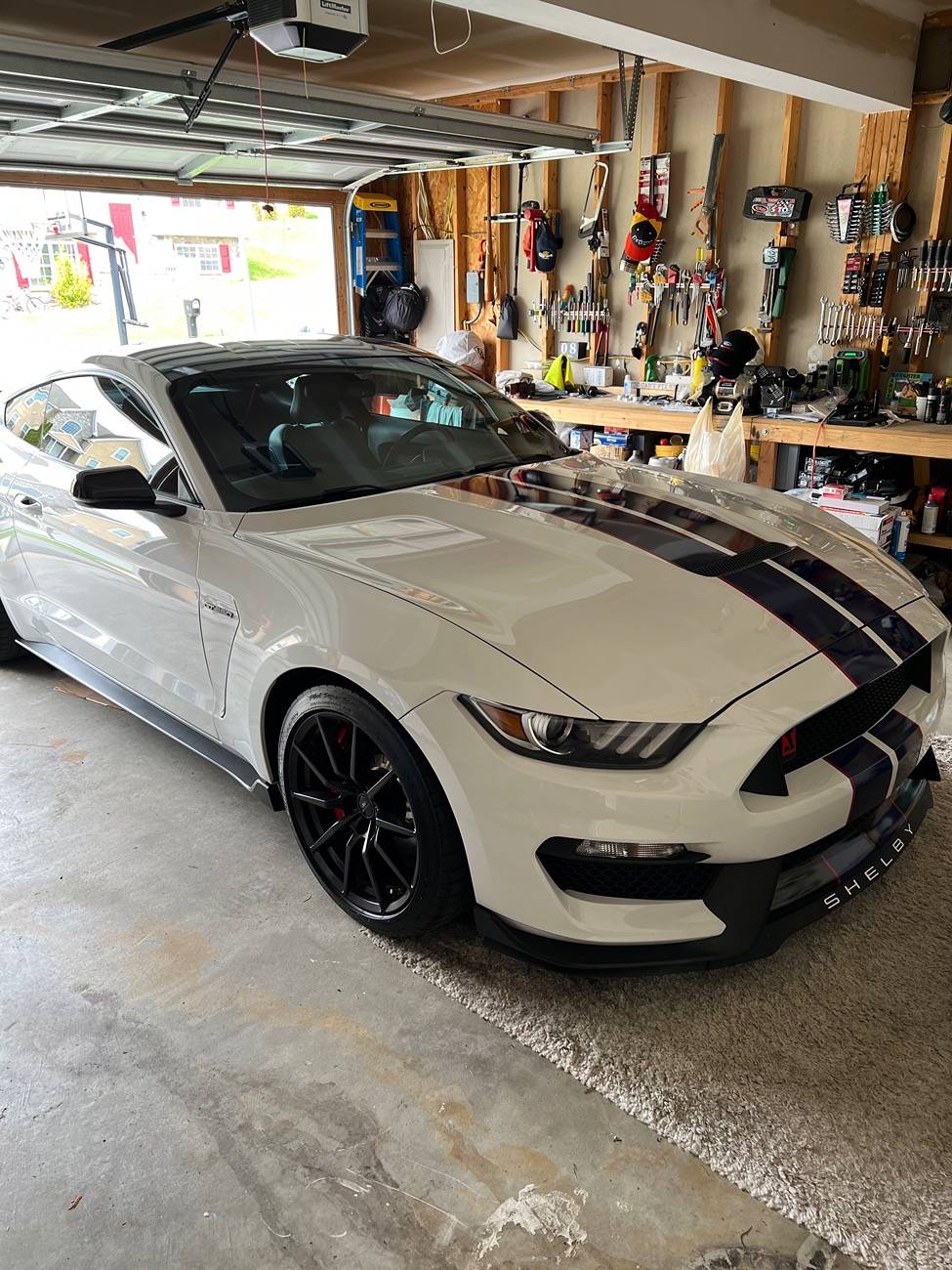 S650 Mustang 2024 GT vs 2017 GT 350 67164985444__0CE116B5-5DB6-4765-92C4-09B99059D537