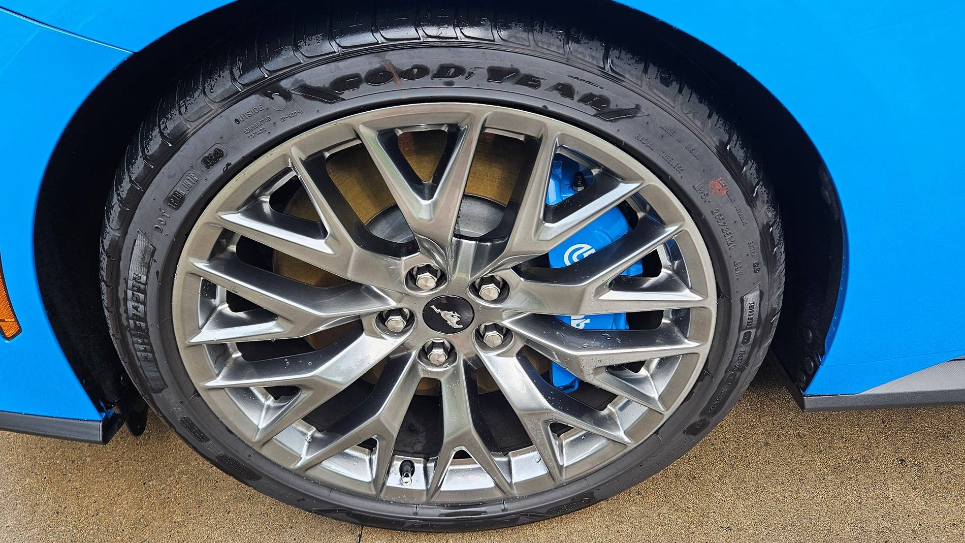 S650 Mustang Grabber Blue Caliper color 4_wheel