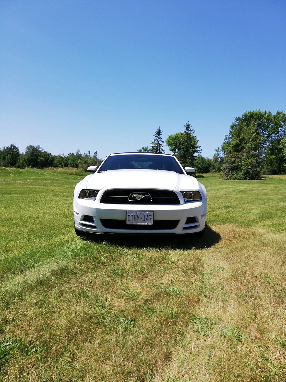 S650 Mustang 2024 California Special - Thoughts? IMG_20220709_125911
