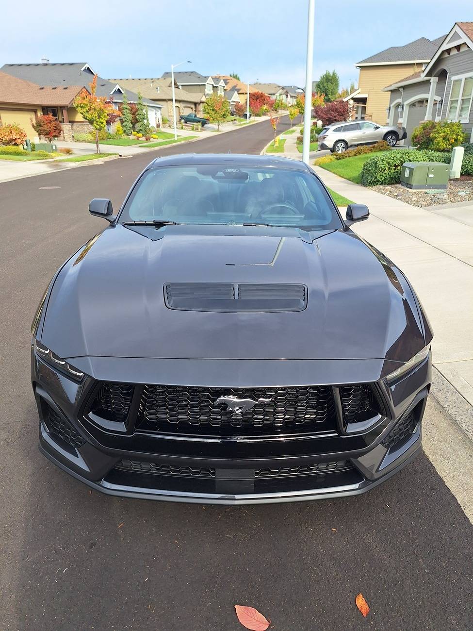 S650 Mustang Installed 4) ZL1 S650 Delux Rock Guards - Photos 20241011_151524