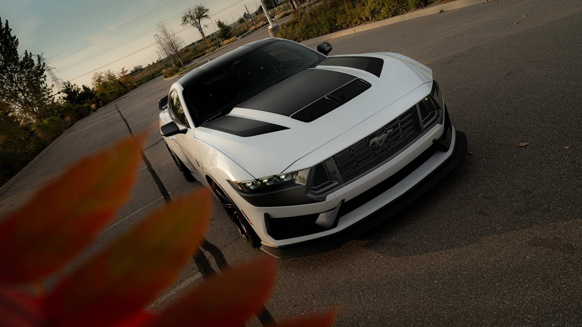 S650 Mustang 2024 Dark Horse Premium "Freyja" (Chassis # 7161) - My Build Journal 19