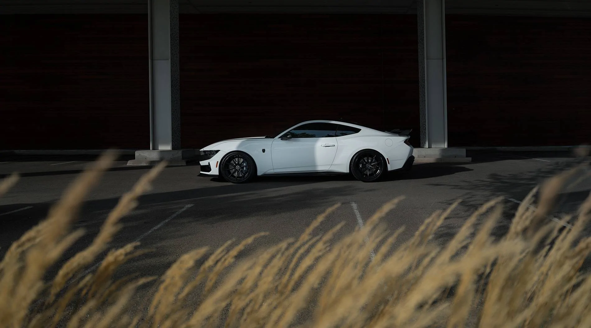 S650 Mustang 2024 Dark Horse Premium "Freyja" (Chassis # 7161) - My Build Journal 4