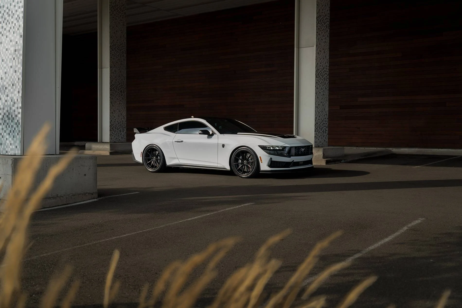 S650 Mustang 2024 Dark Horse Premium "Freyja" (Chassis # 7161) - My Build Journal 1
