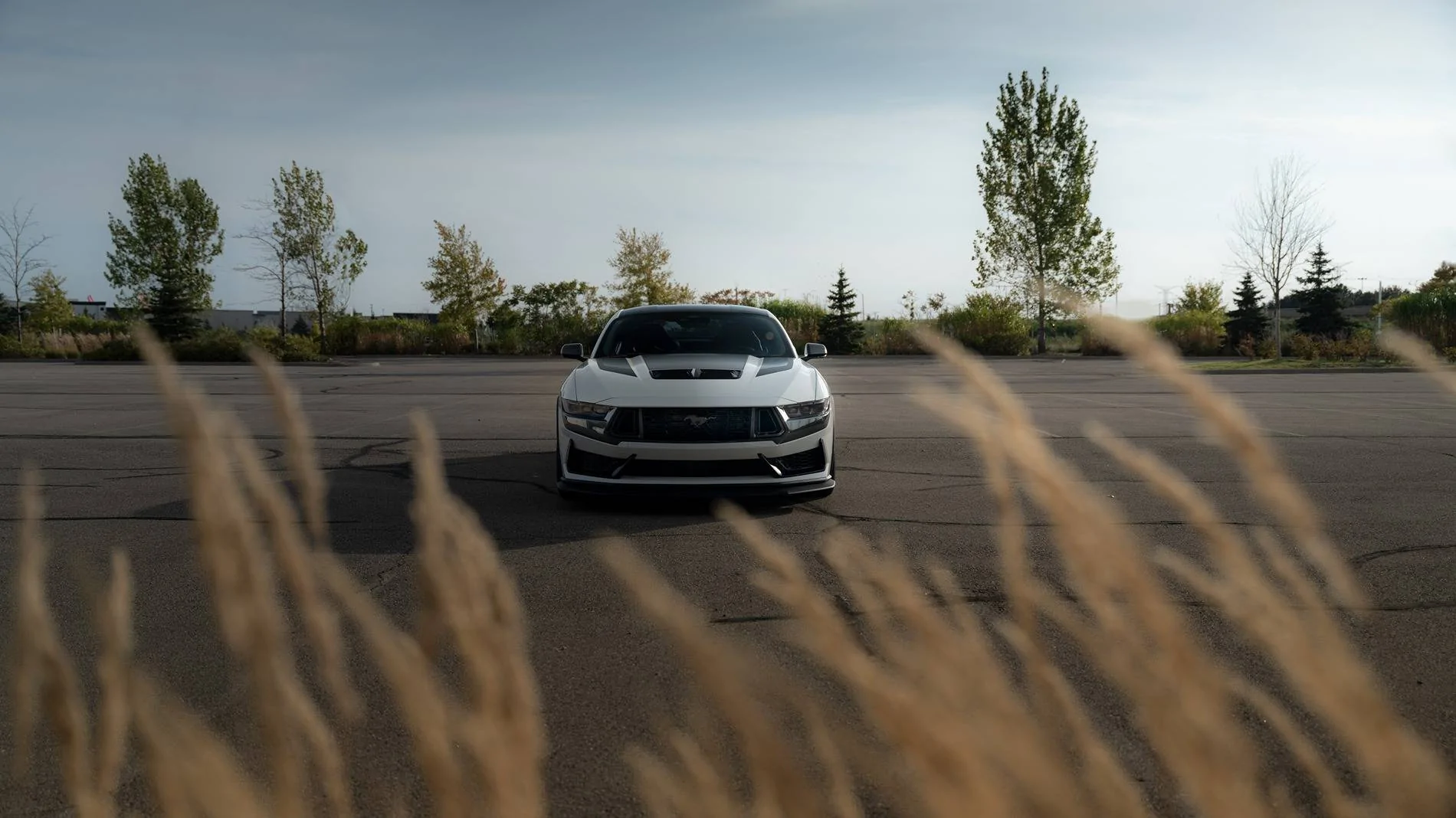 S650 Mustang 2024 Dark Horse Premium "Freyja" (Chassis # 7161) - My Build Journal 9