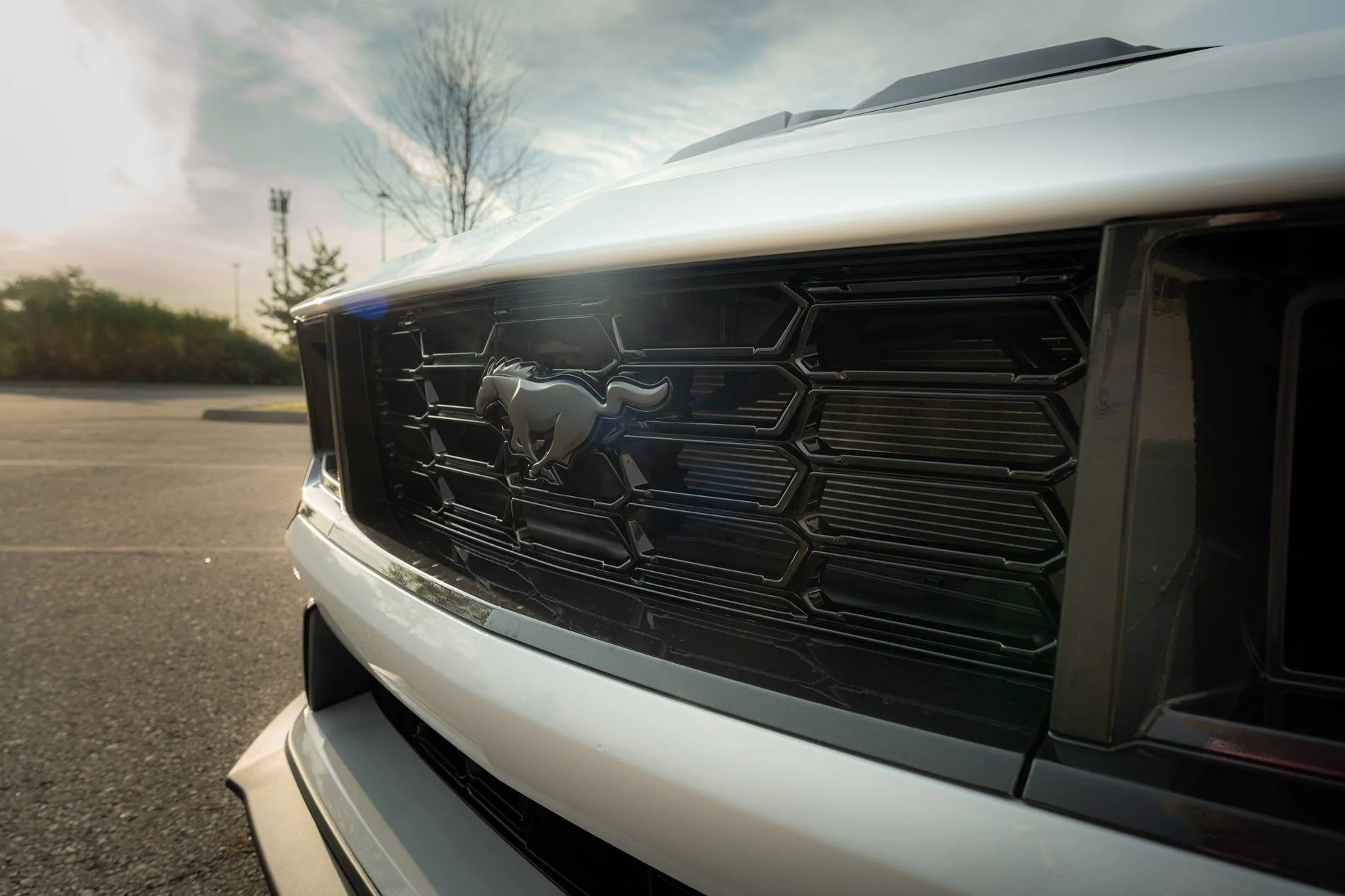 S650 Mustang 2024 Dark Horse Premium "Freyja" (Chassis # 7161) - My Build Journal 14