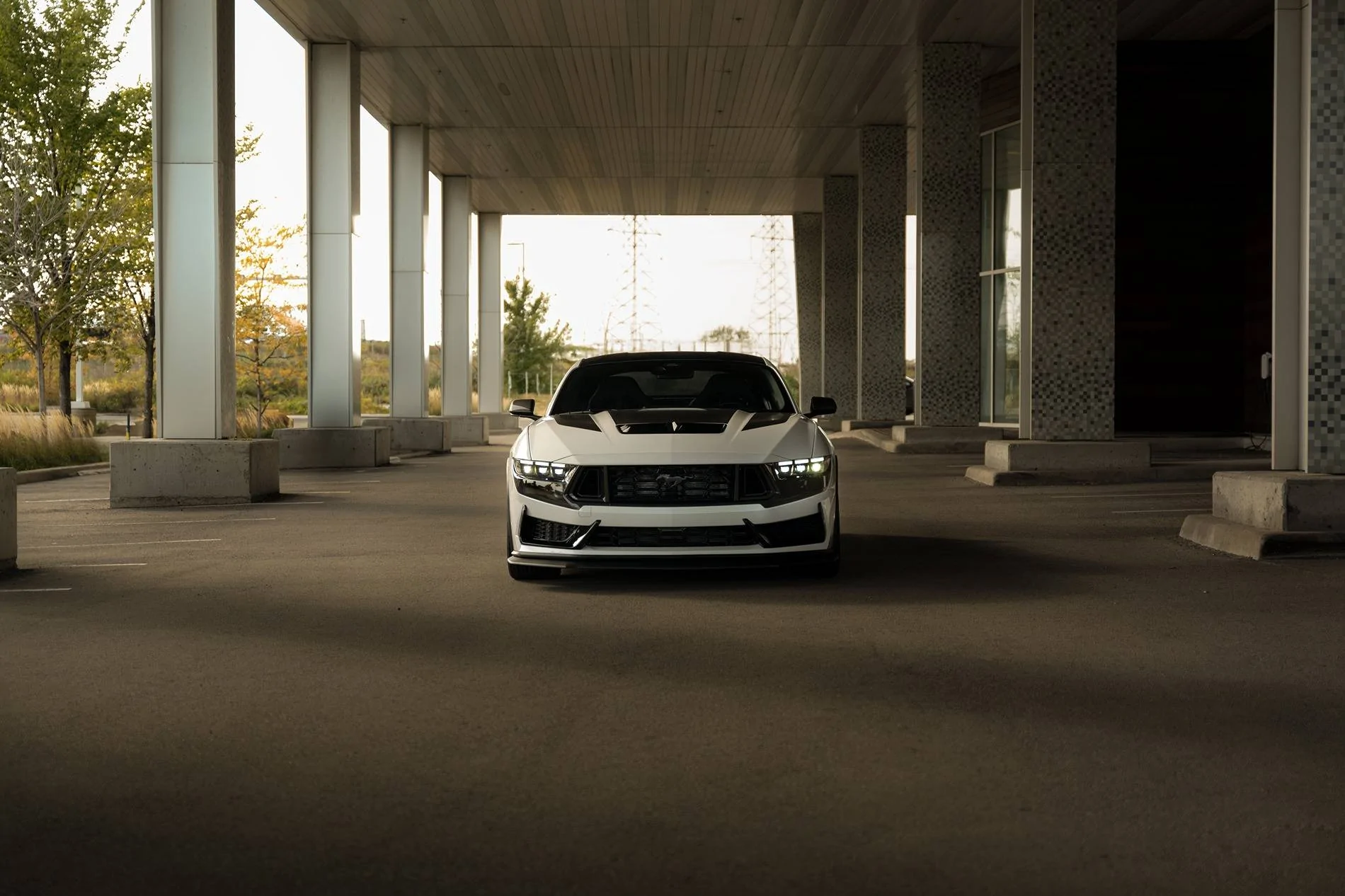 S650 Mustang Official OXFORD WHITE Mustang S650 Thread 2