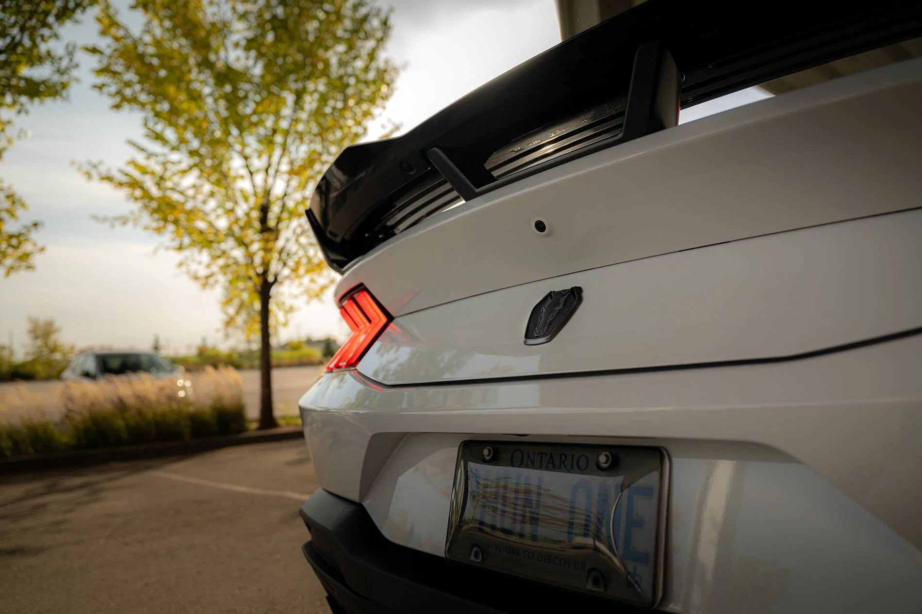 S650 Mustang Official OXFORD WHITE Mustang S650 Thread 6