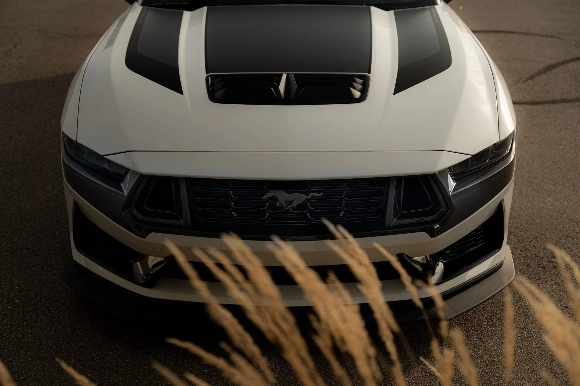 S650 Mustang Official OXFORD WHITE Mustang S650 Thread 7