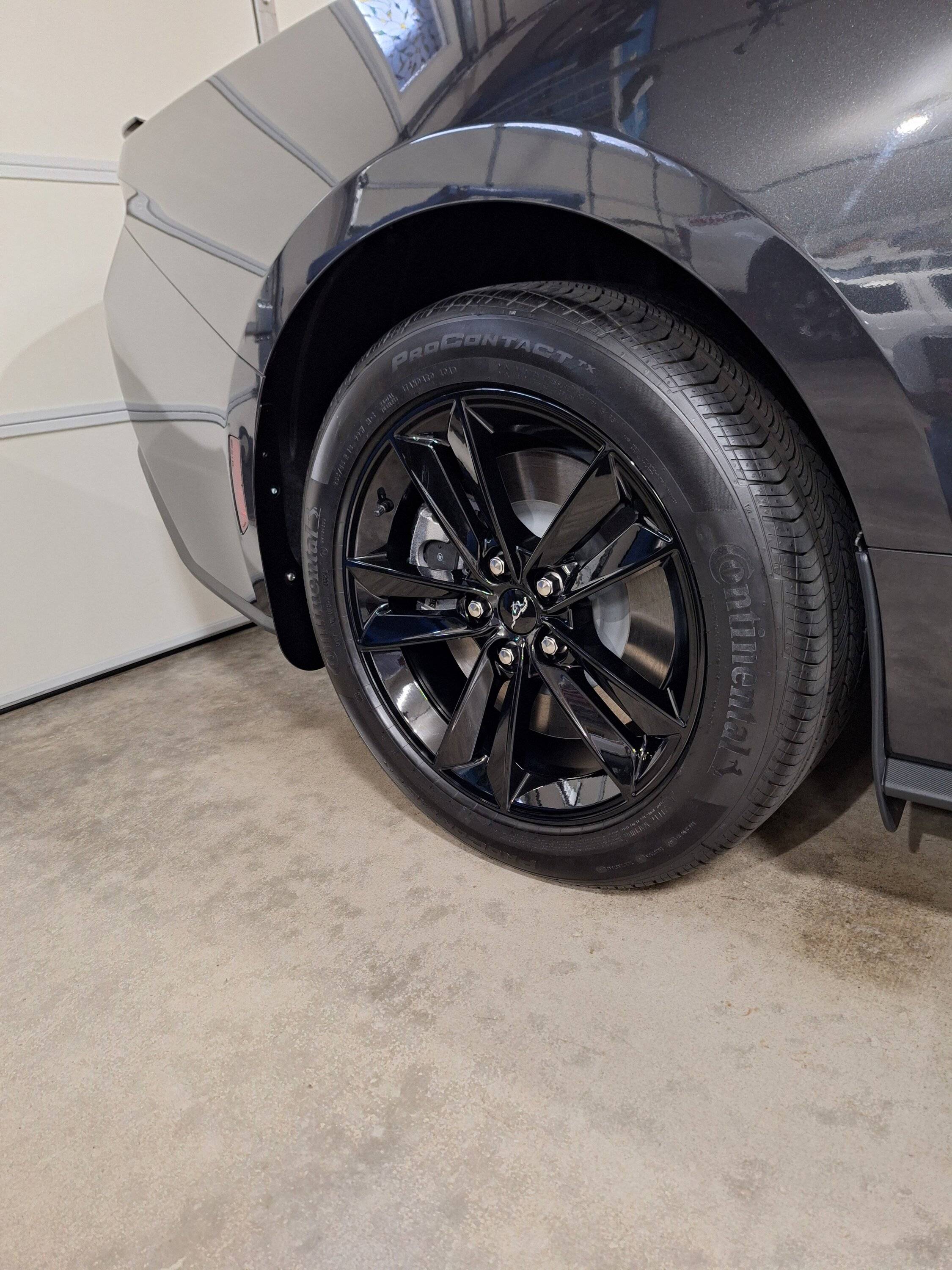 S650 Mustang Waterspots on Black  Wheels 20241015_172057