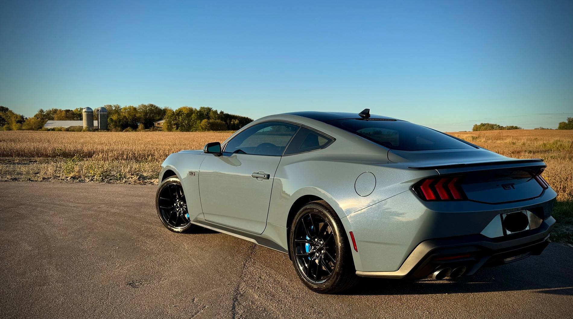 S650 Mustang Photos of my GT after PPF, Ceramic and Tint IMG_3421
