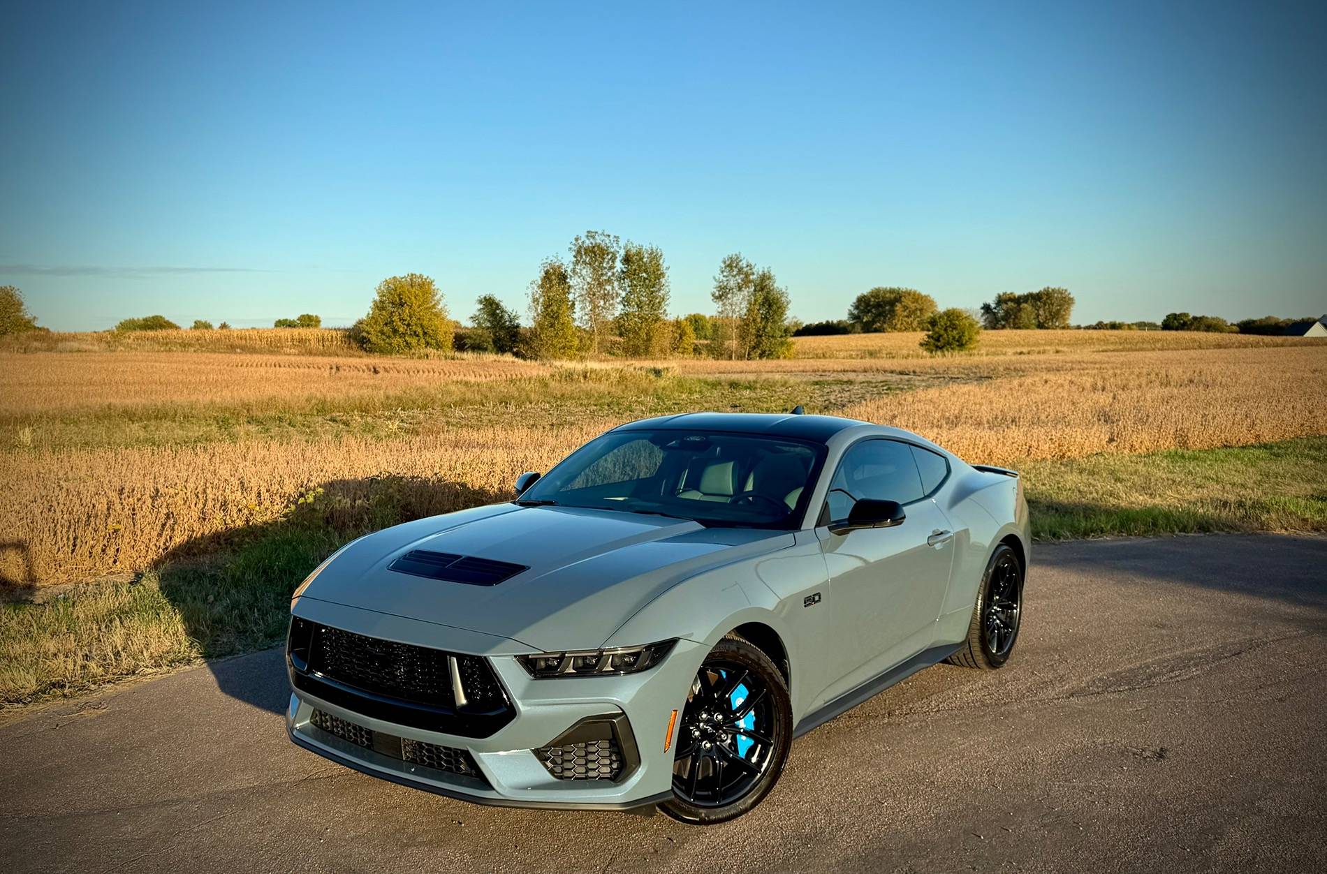 S650 Mustang Photos of my GT after PPF, Ceramic and Tint IMG_3430