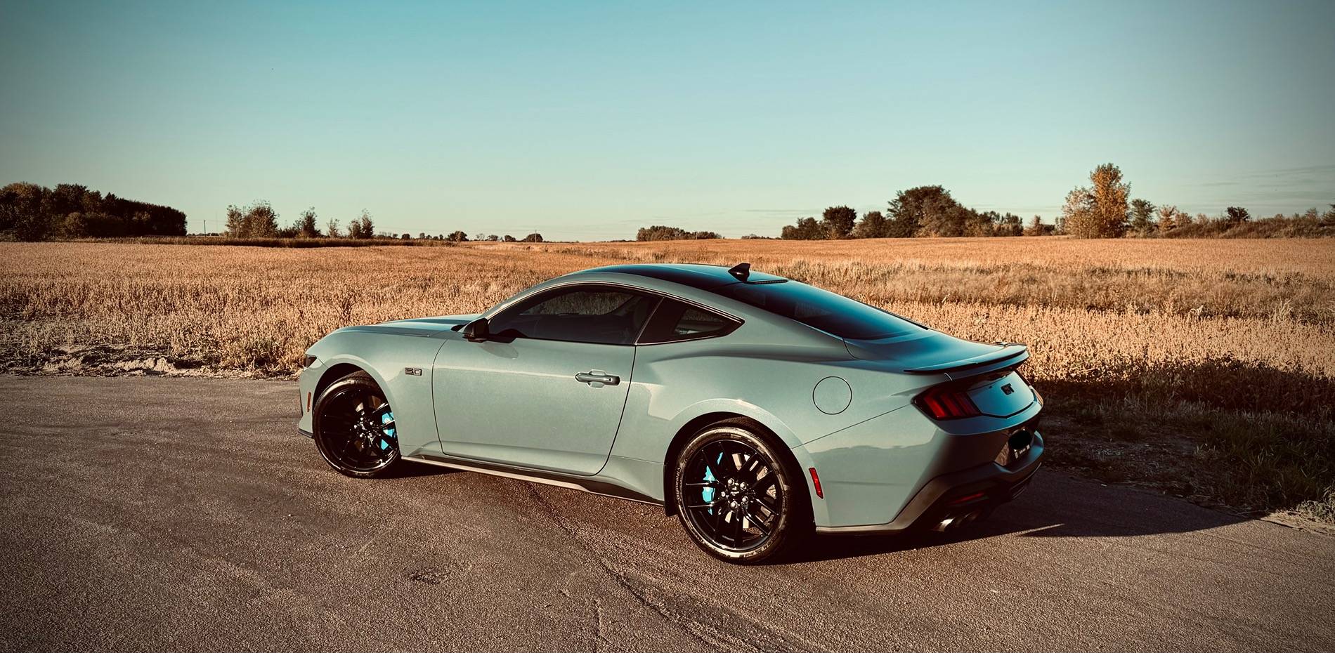 S650 Mustang Photos of my GT after PPF, Ceramic and Tint IMG_3420