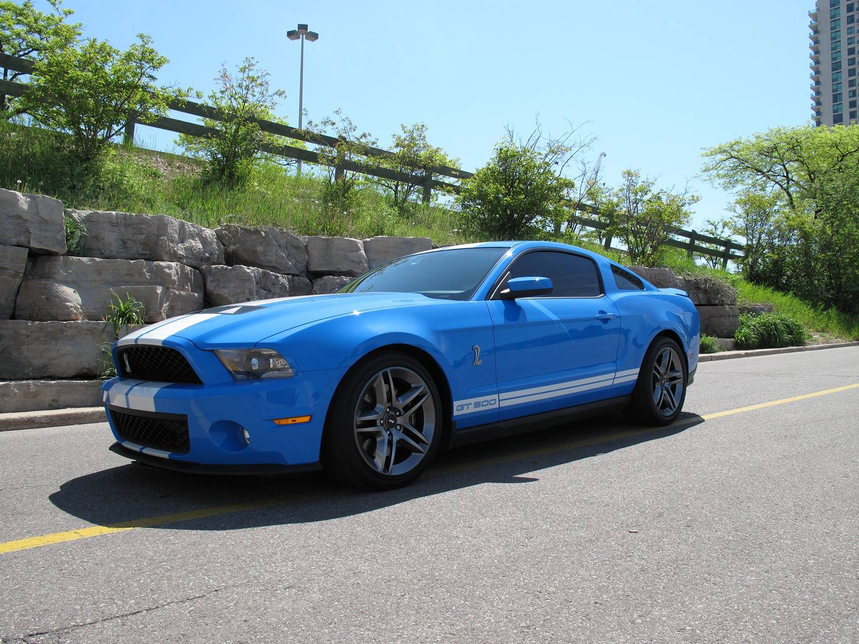 S650 Mustang How many Mustangs have you had? (a funny story) 2010.JPG