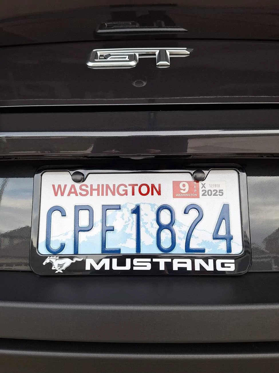 S650 Mustang Ford License Plate Frame $22 Bucks 20241019_172149