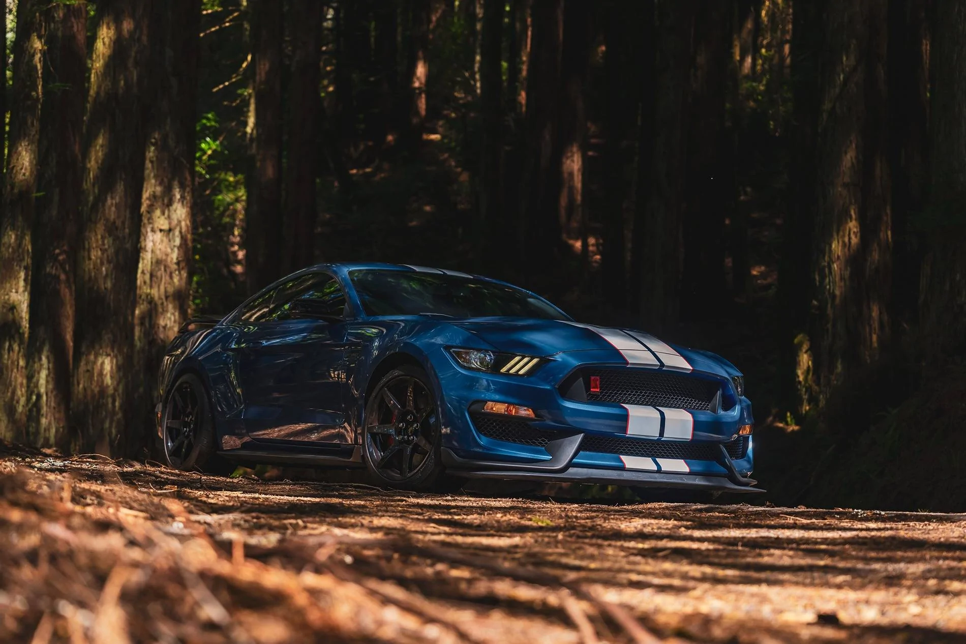 S650 Mustang Hot take the s650 is better looking than the s550 DSC08019 copy