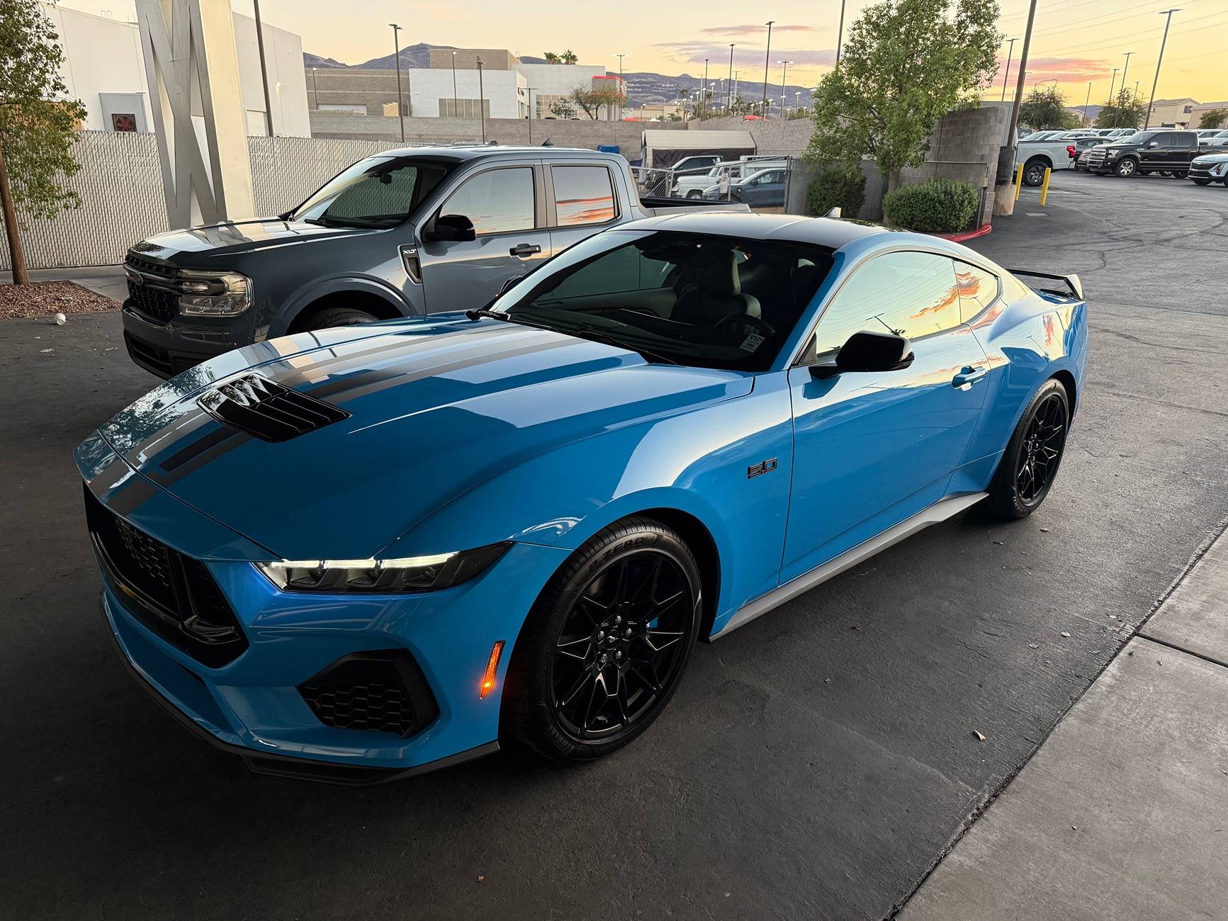 S650 Mustang Official GRABBER BLUE Mustang S650 Thread IMG_0160