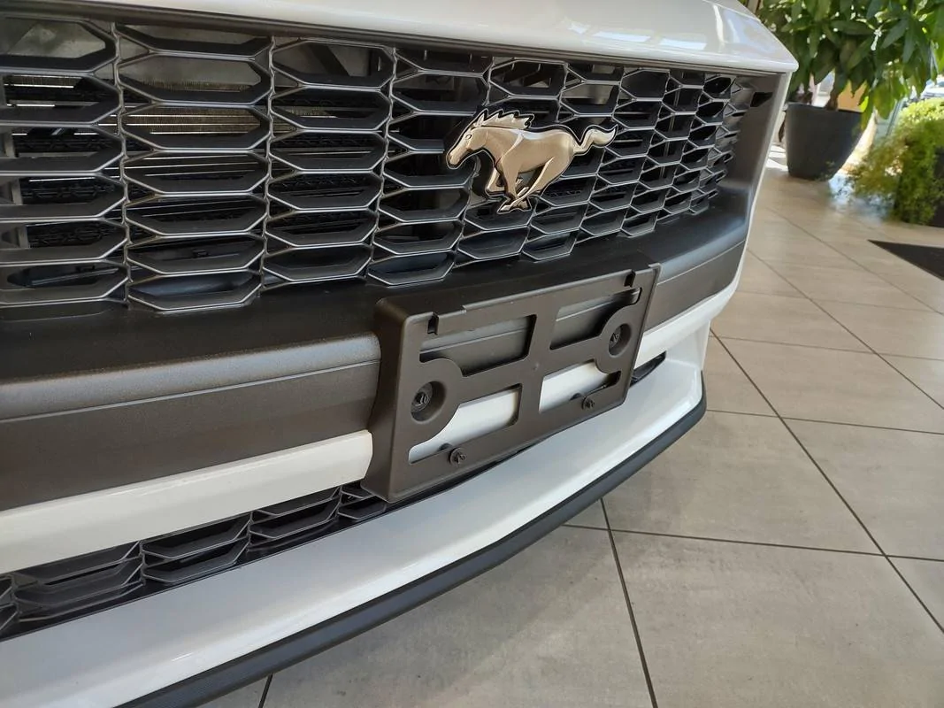 S650 Mustang This Just Got Real! s650plinth