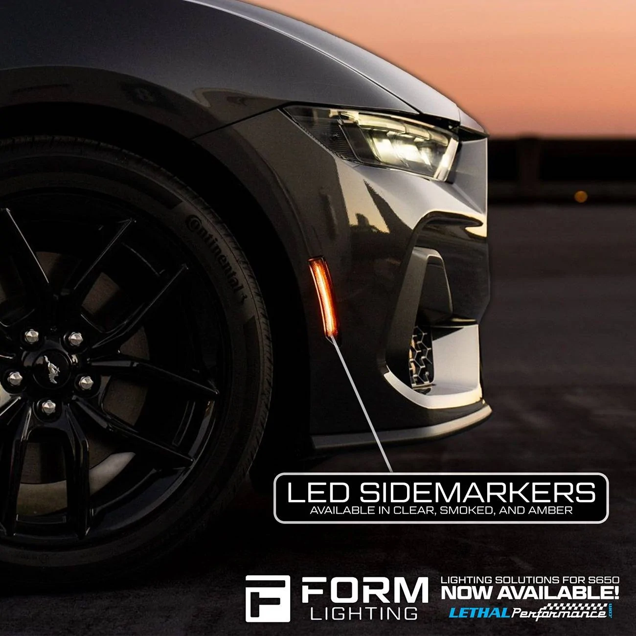 form new new 1.jpeg