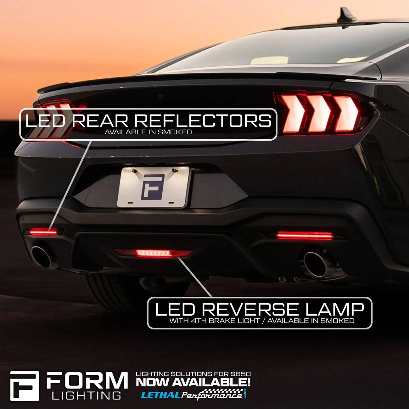 form new new 3.jpeg