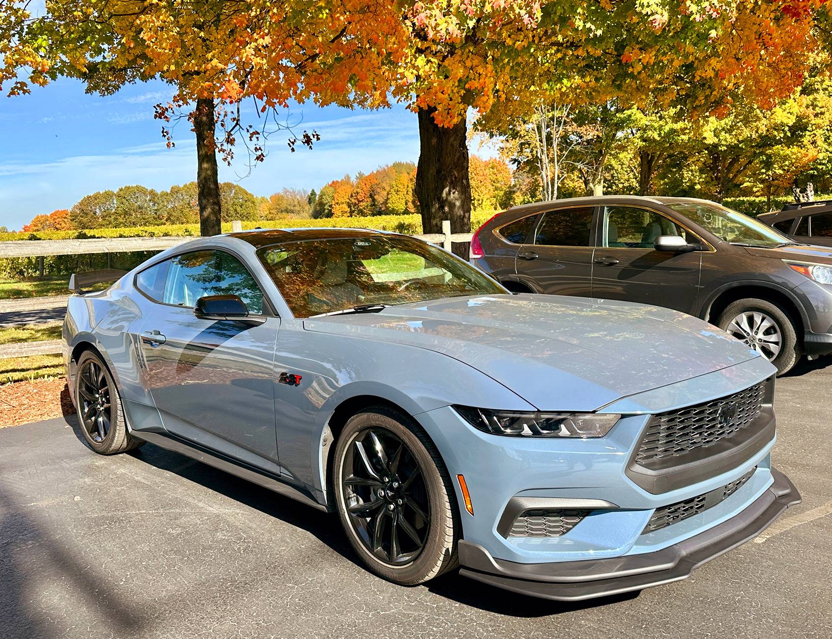 S650 Mustang Official VAPOR BLUE Mustang S650 Thread IMG_20241022_142014
