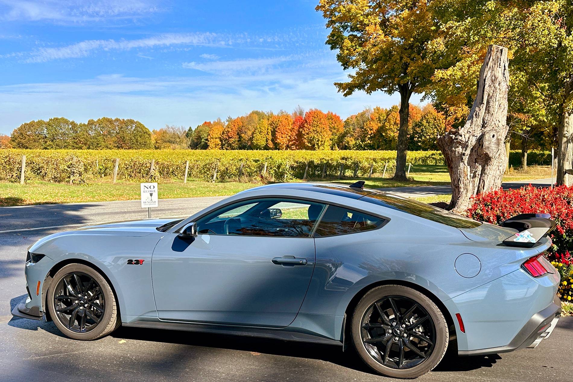 S650 Mustang Official VAPOR BLUE Mustang S650 Thread IMG_20241022_142301