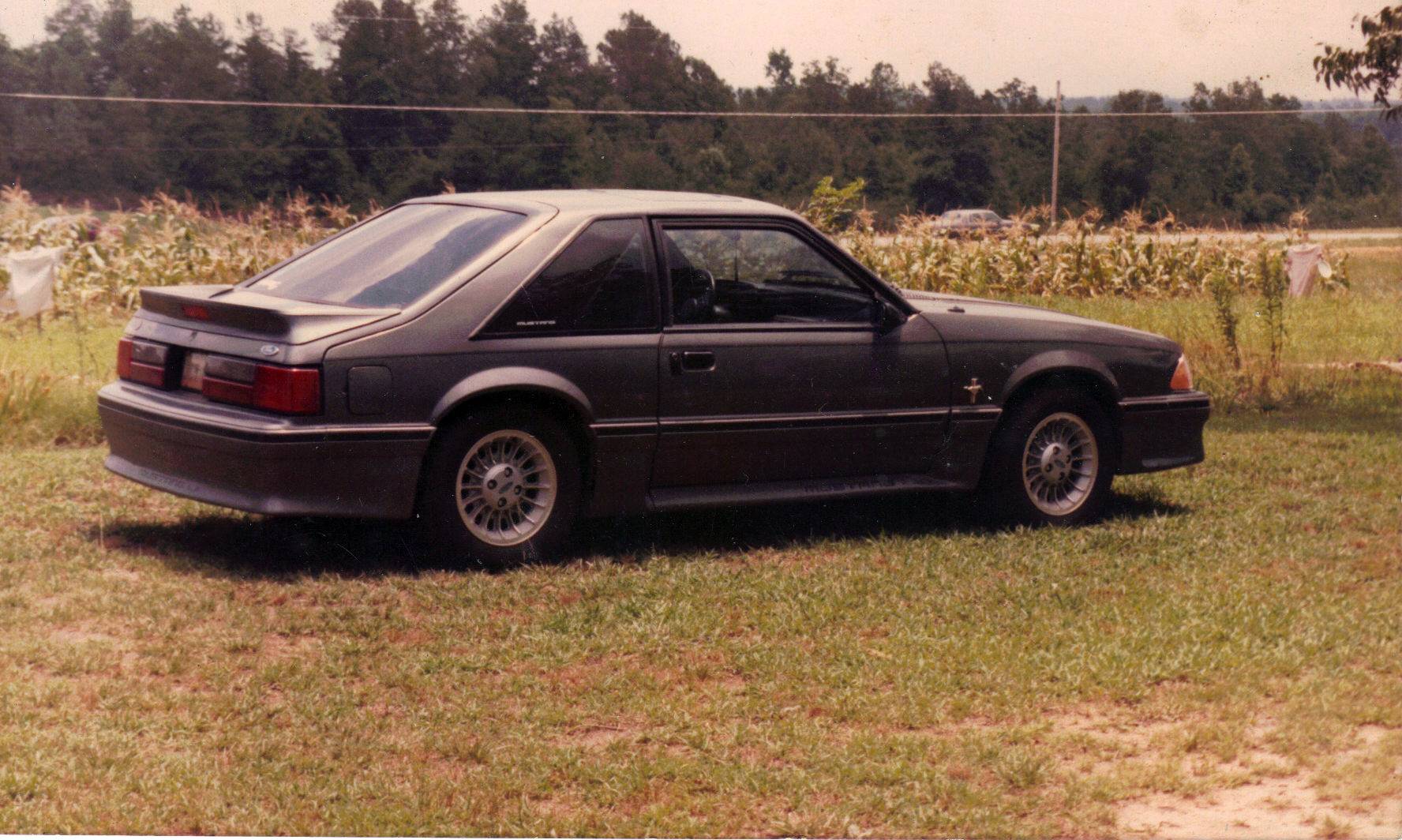 S650 Mustang How many Mustangs have you had? (a funny story) My 88