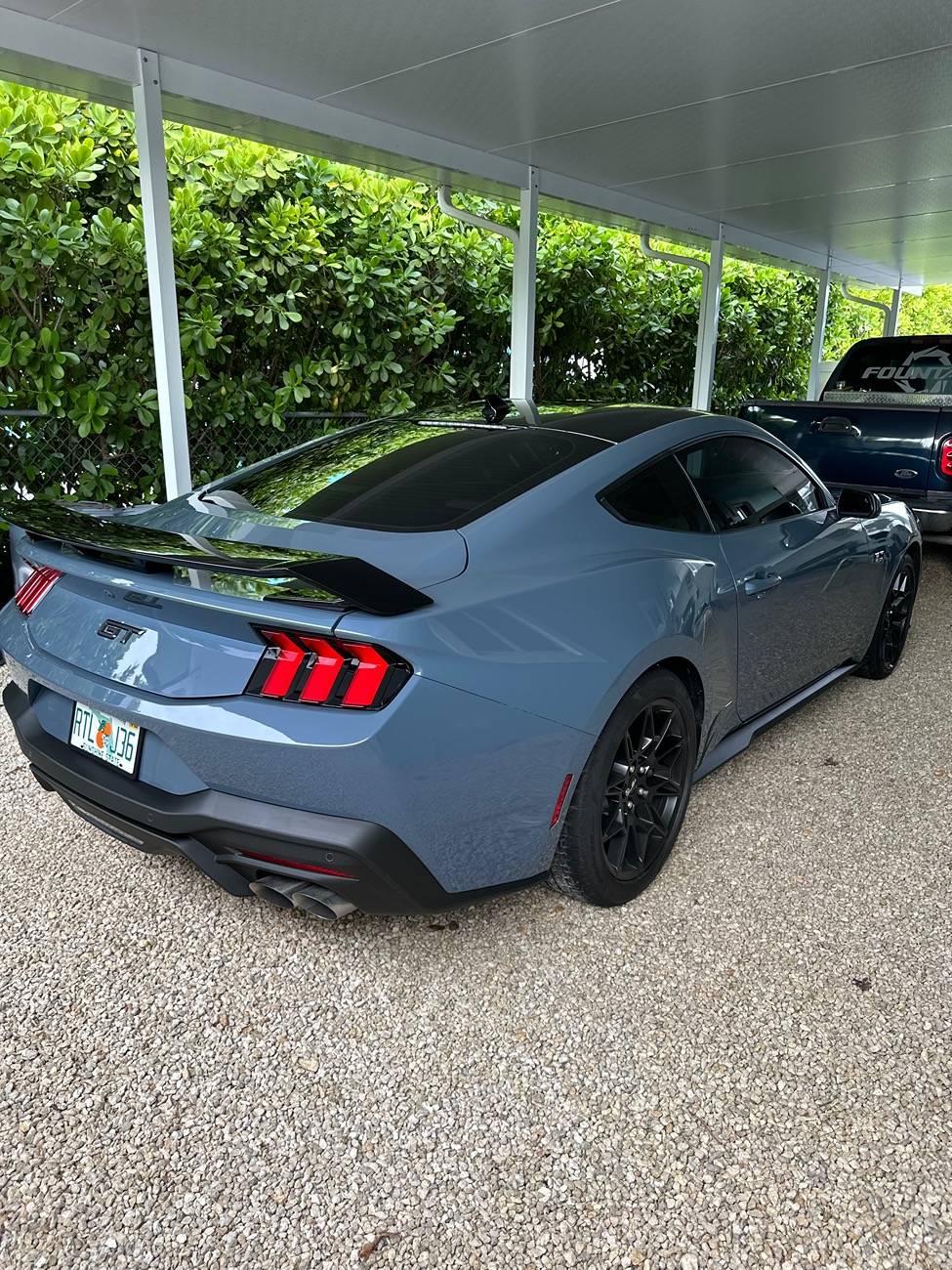 S650 Mustang Photos of my GT after PPF, Ceramic and Tint IMG_4247