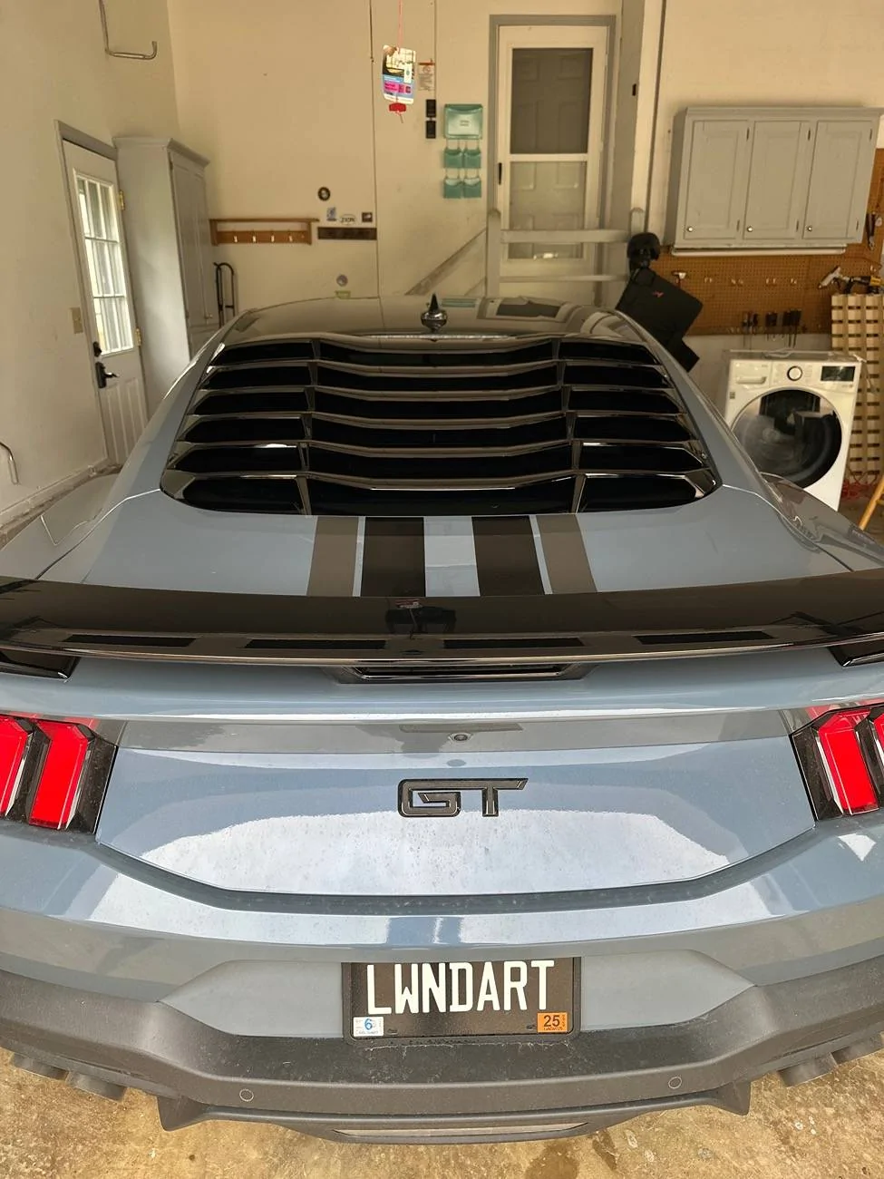 S650 Mustang Nite Pony Package with stripes IMG_4501