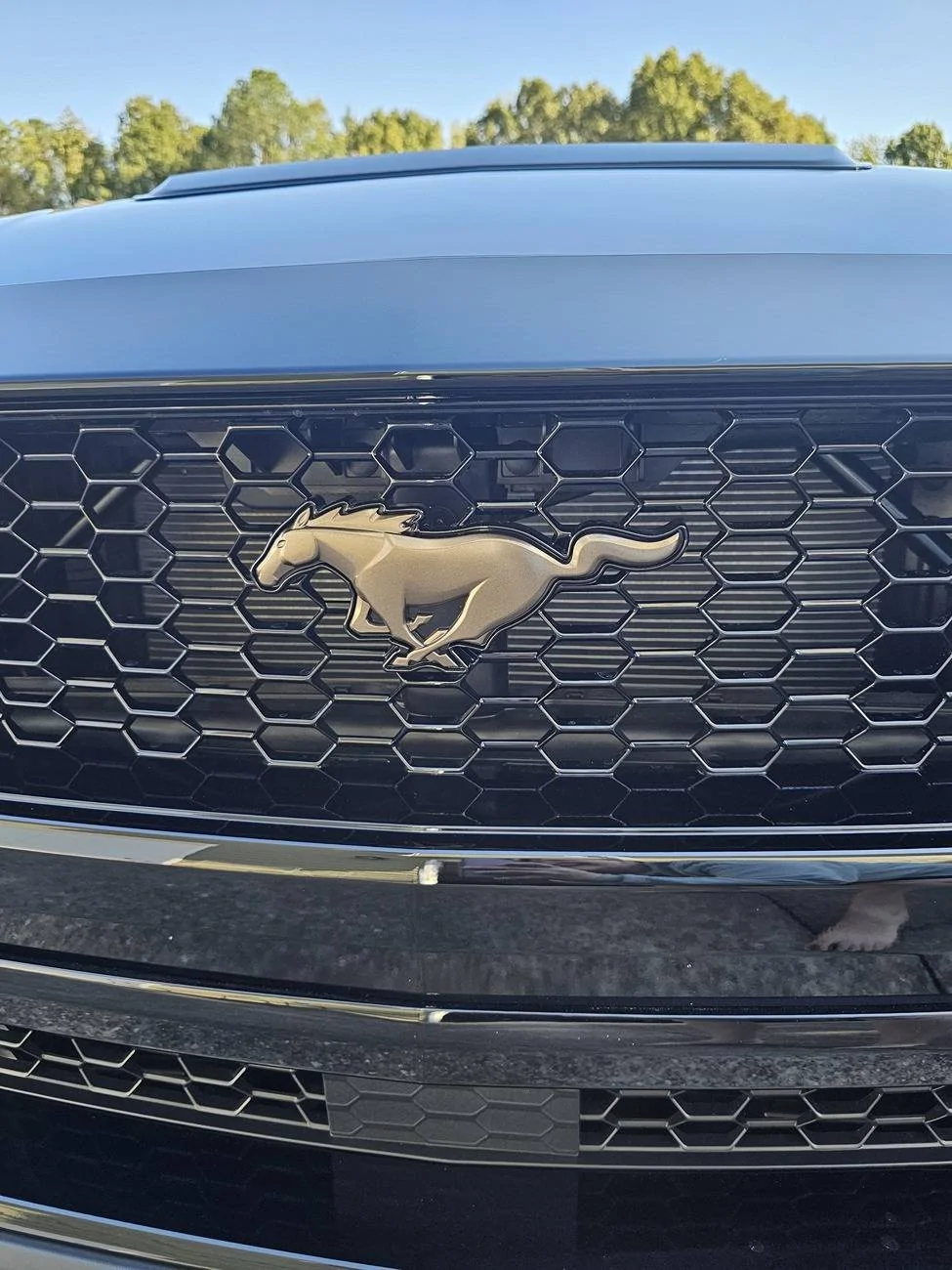 S650 Mustang Back in a Mustang finally 24GT003