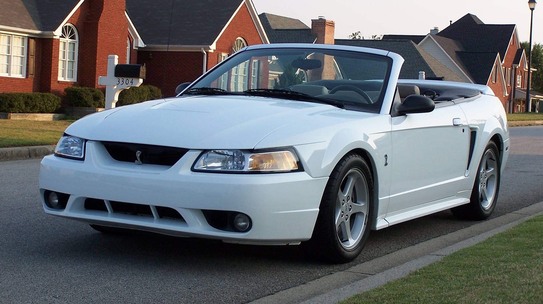 S650 Mustang How many Mustangs have you had? (a funny story) 1999cobra001.JPG