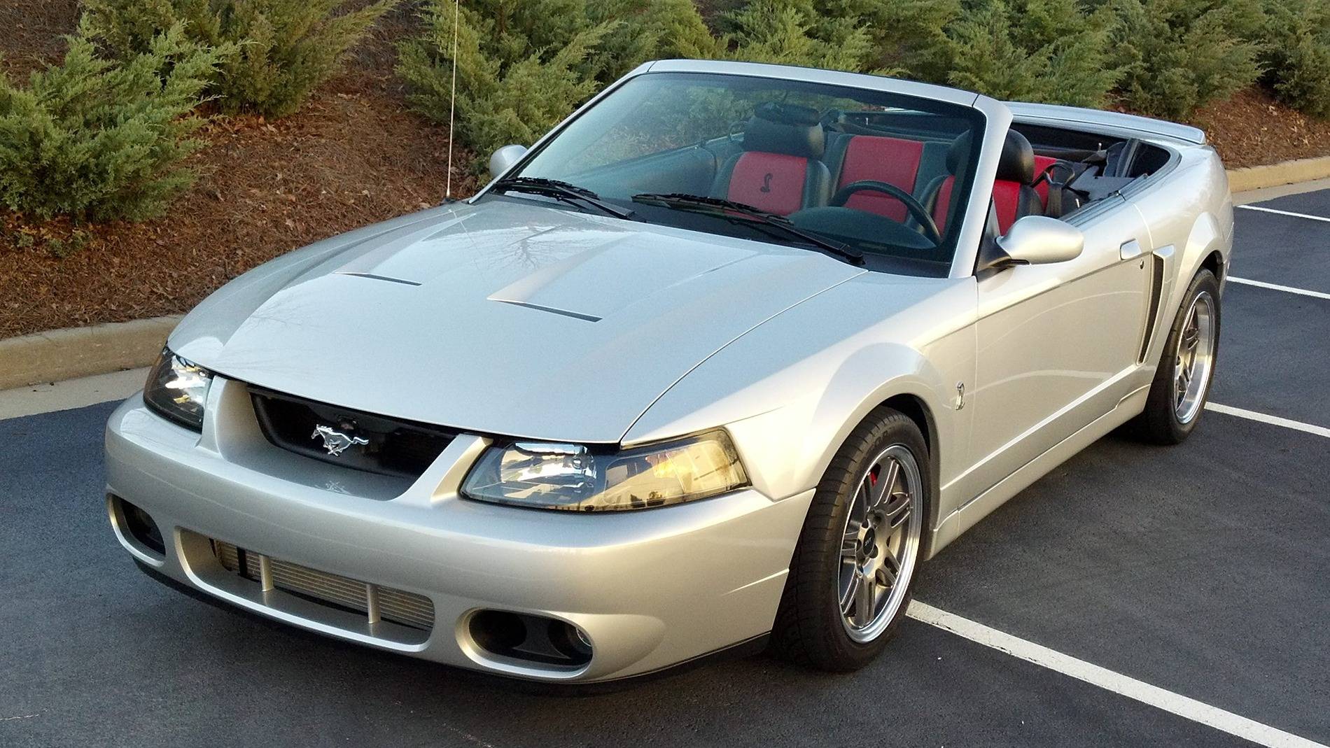 S650 Mustang How many Mustangs have you had? (a funny story) 2003cobra001
