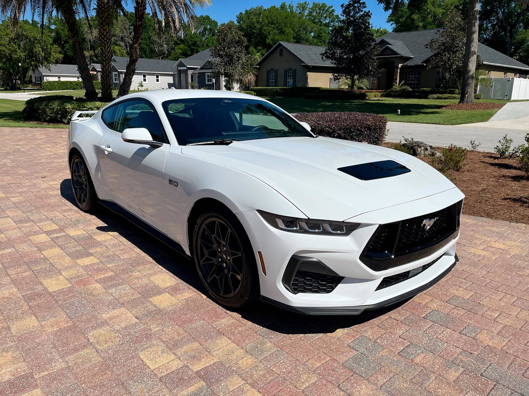 S650 Mustang Ownership update DCS004.JPG
