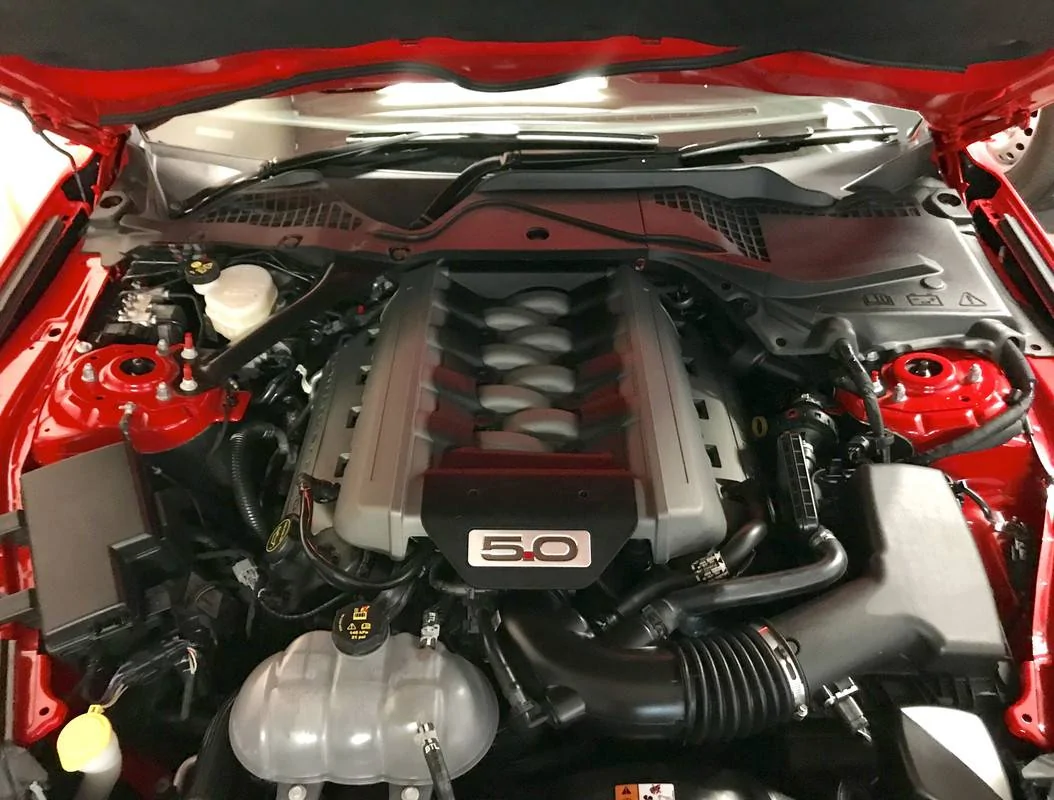 S650 Mustang This Just Got Real! IMG-E2013