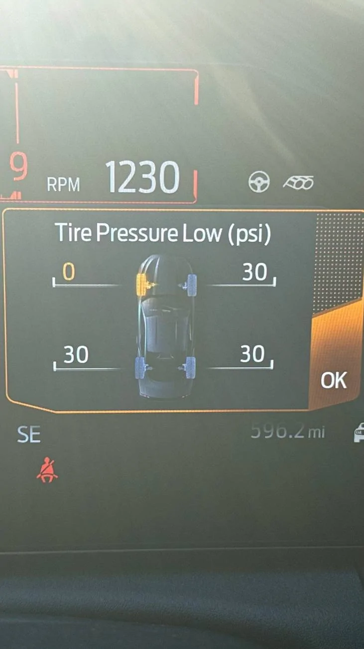 S650 Mustang Flat Tire this morning (pictures) IMG_2338